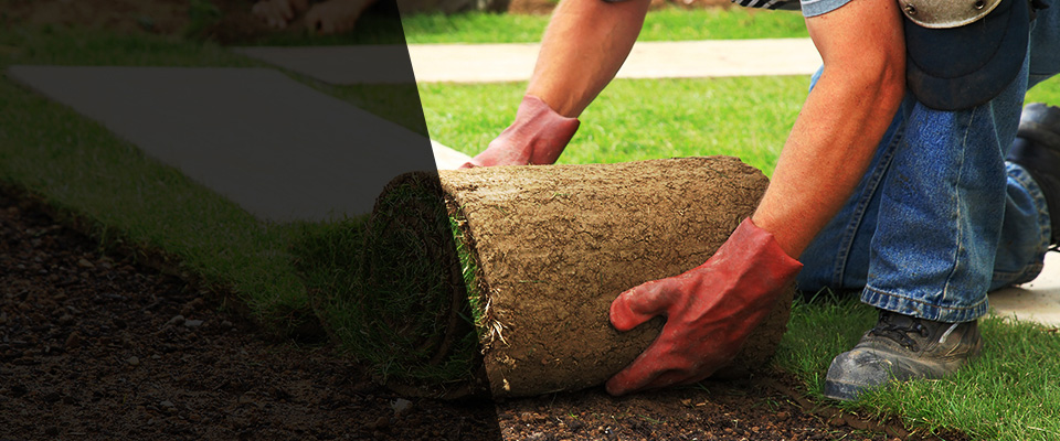 Fordyce Landscapers
